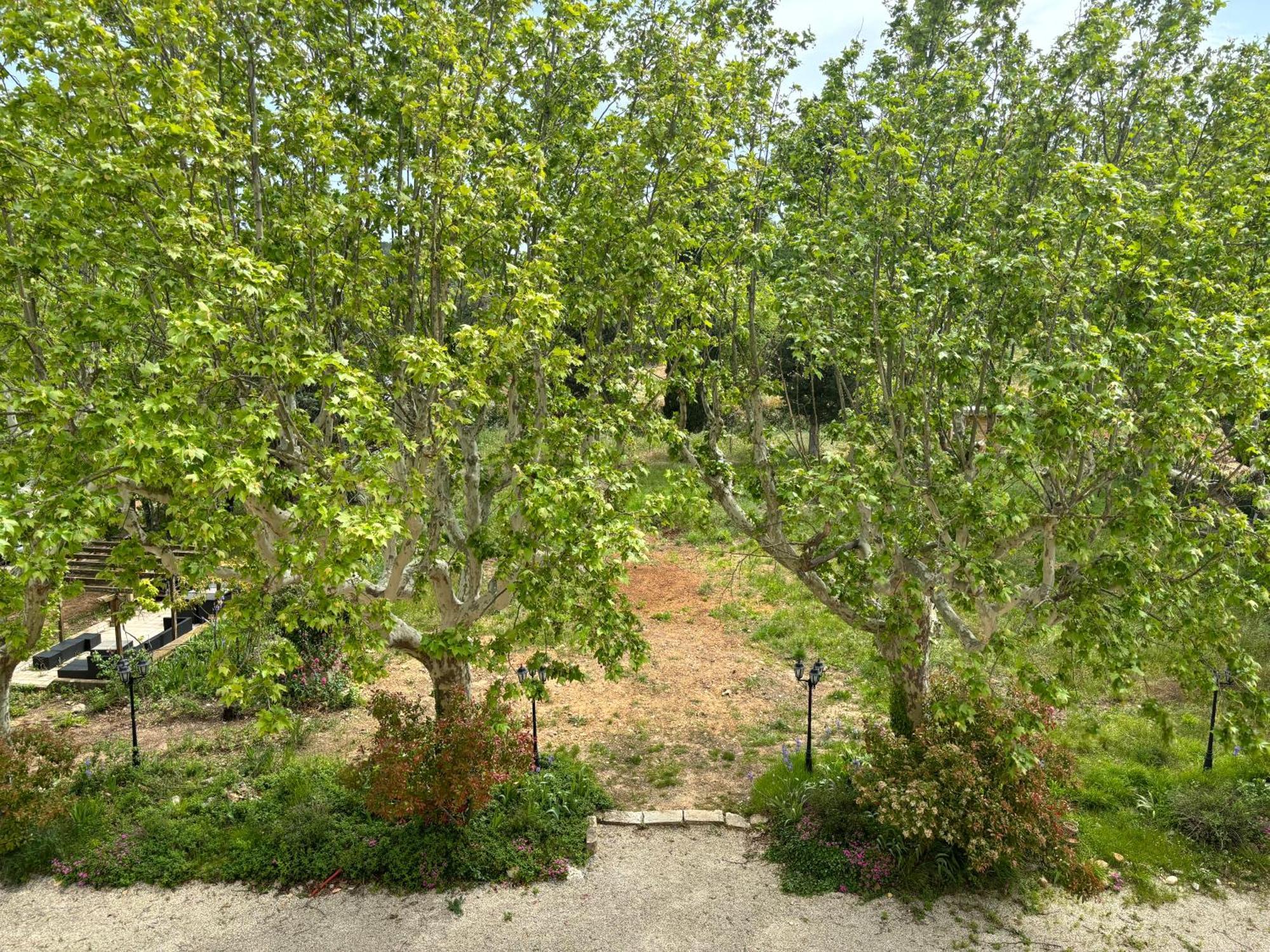 Appartement De Standing Dans Une Bastide Aixoise Aix-en-Provence Esterno foto